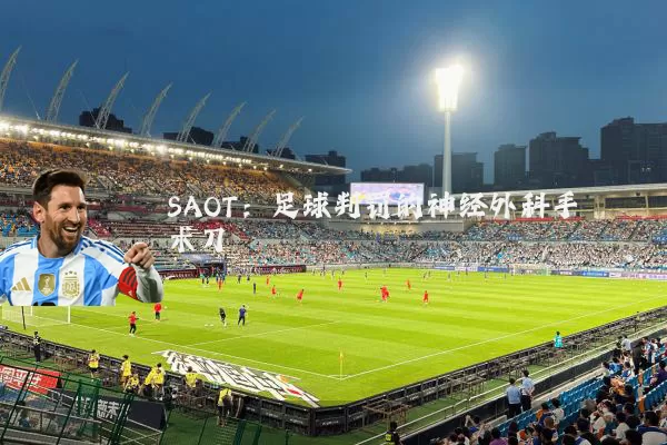SAOT:足球判罚的神经外科手术刀